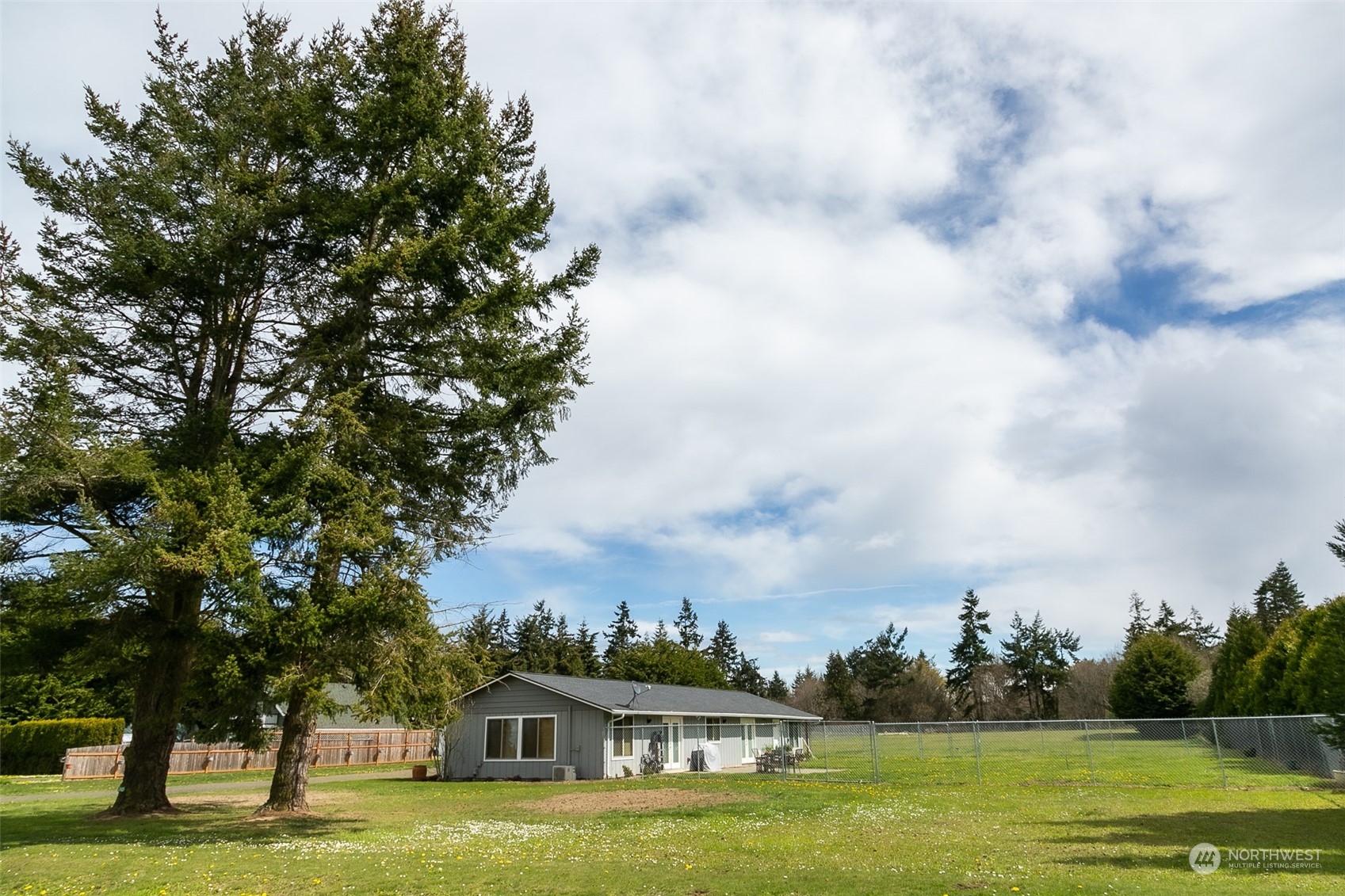240 Osborn Road Port Angeles, WA 98362 - Photo 33 of 37 a view of a big yard with large trees
