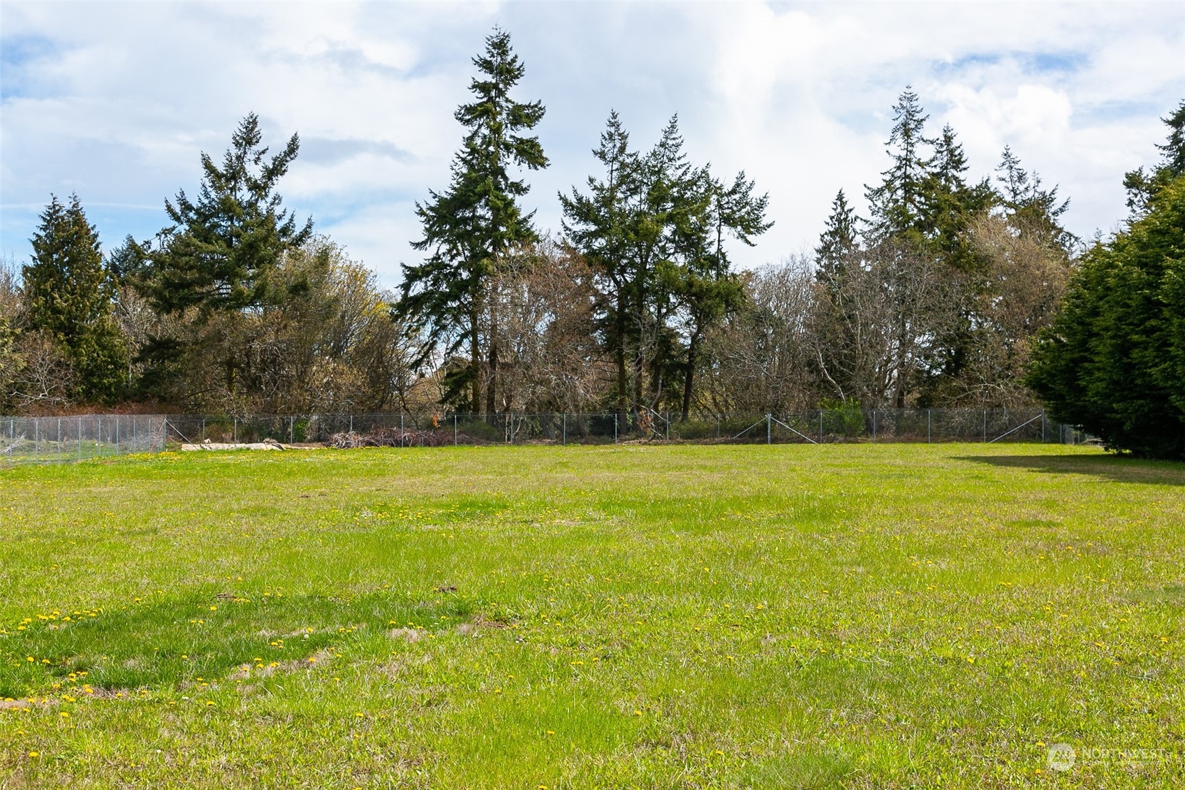 240 Osborn Road Port Angeles, WA 98362 - Photo 34 of 37 a view of yard and swimming pool