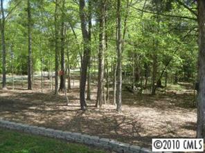 2160 Catoe Road Lancaster, SC 29720 - Photo 8 of 8 a view of outdoor space with trees