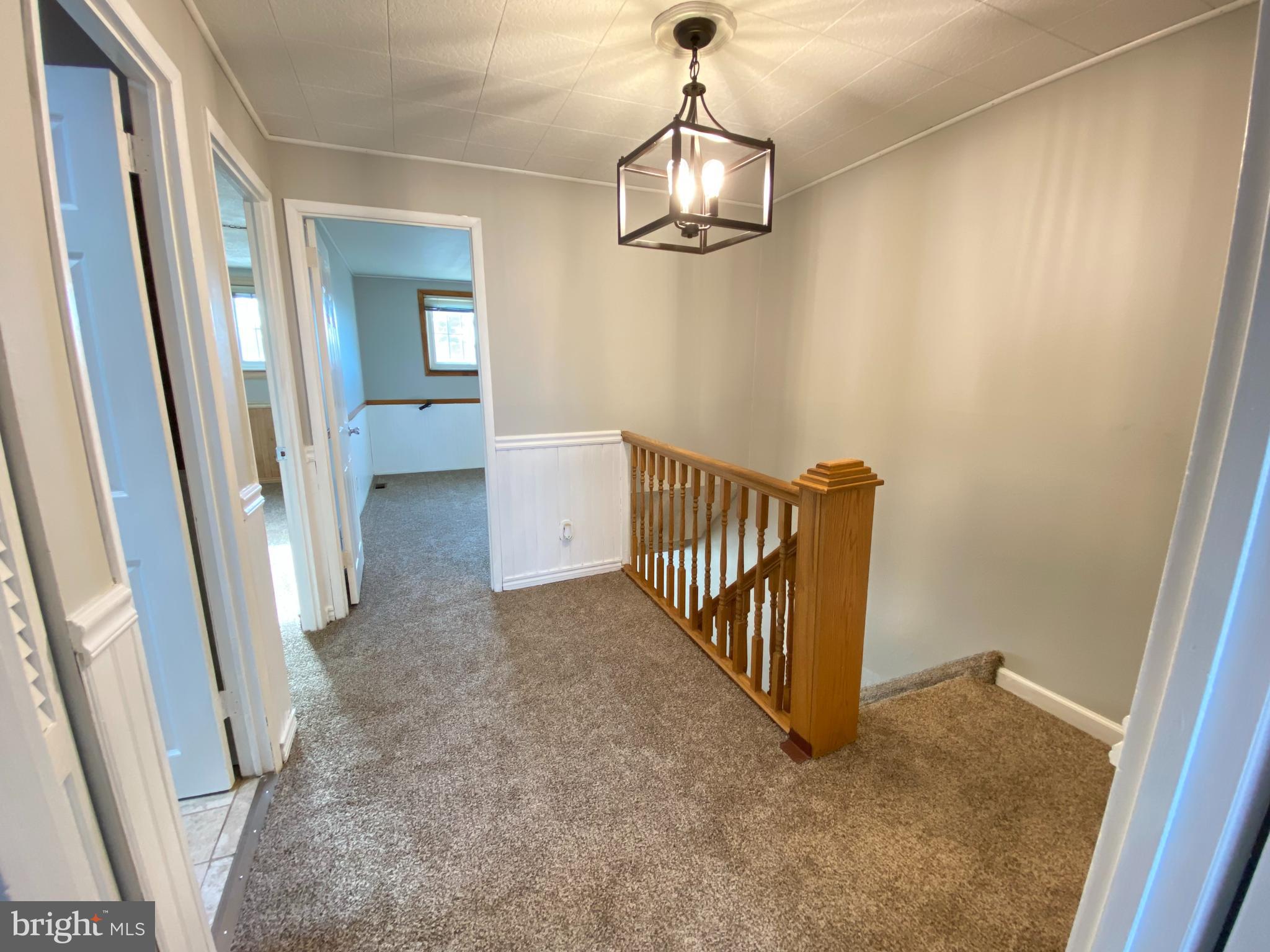 3209 Fairdale Road Philadelphia, PA 19154 - Photo 14 of 23 New light, freshly painted walls & new carpet