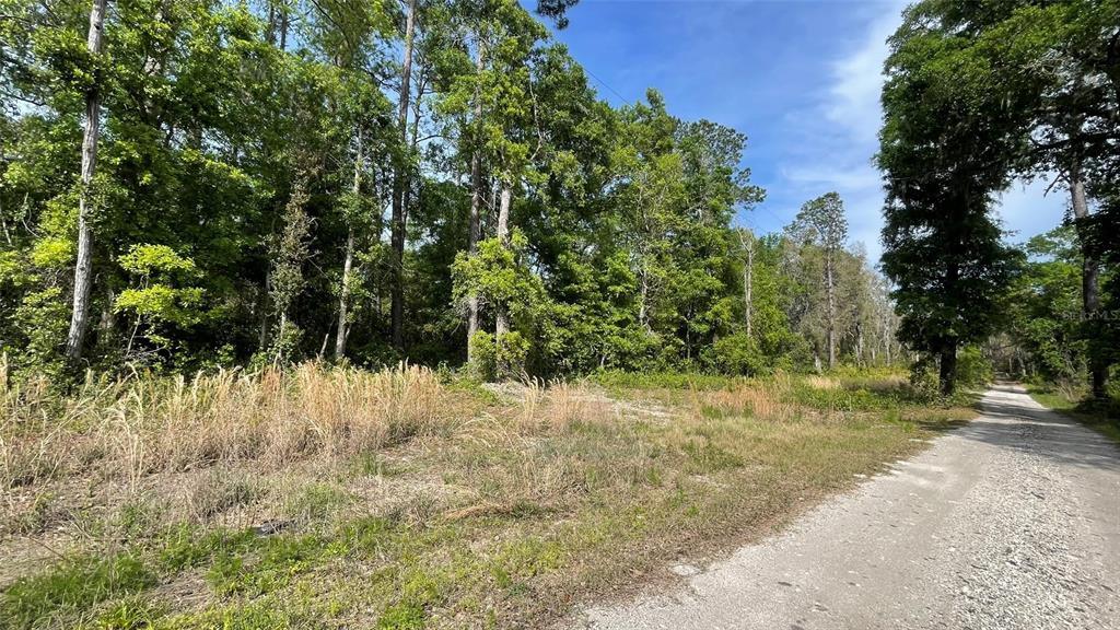 Turkey Trot Road Florahome, FL 32140 - Photo 1 of 1 Gallery Image 1