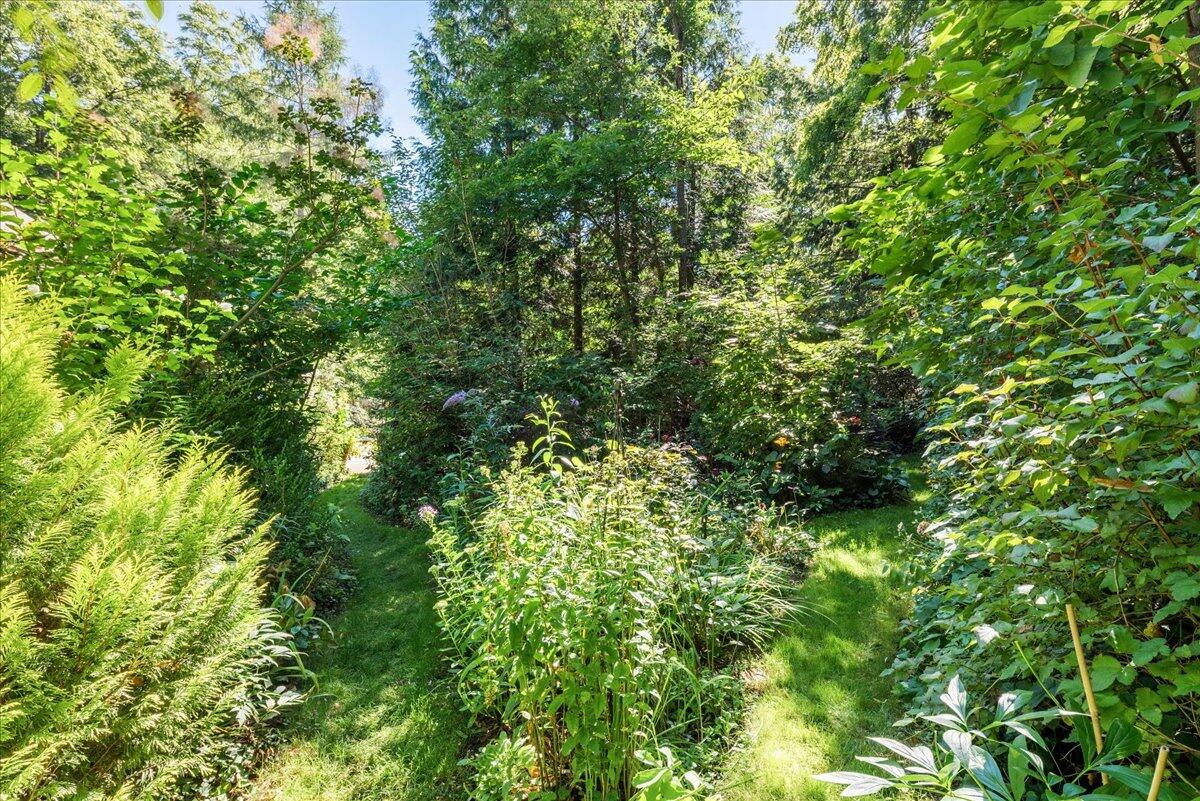 104 Mt Tabor Road Buchanan, MI 49107 - Photo 45 of 56 045-DDP_8549