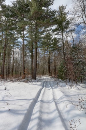 99 Maple Street Bellingham, MA 02019 - Photo 28 of 30 Gallery Image 28