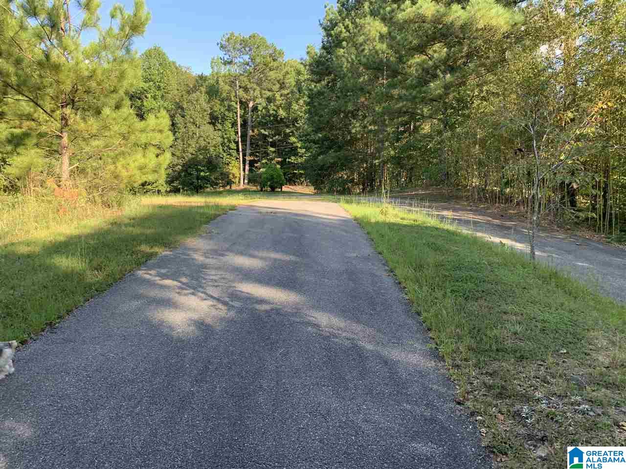 367 Cash Street Ohatchee, AL 36271 - Photo 32 of 37