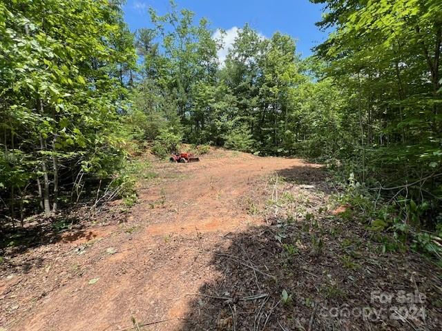 Lot 69 Musket Road Bryson City, NC 28713 - Photo 3 of 9 a view of a yard with a tree