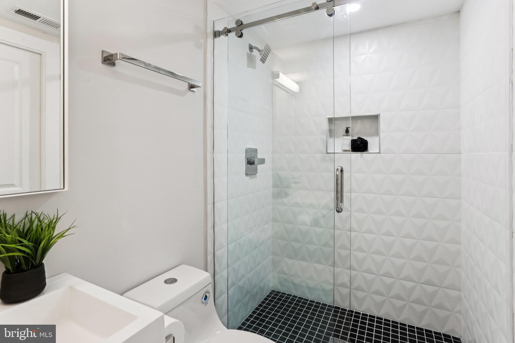 208 Webster Street Northwest Washington, DC 20011 - Photo 39 of 46 a bathroom with a shower