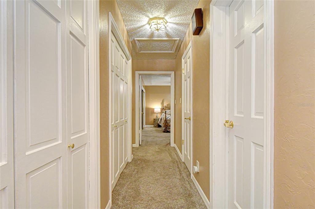 8120 North Albany Avenue Tampa, FL 33604 - Photo 32 of 63