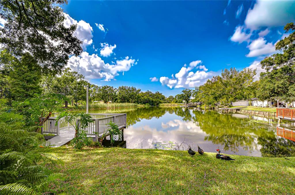 8120 North Albany Avenue Tampa, FL 33604 - Photo 46 of 63