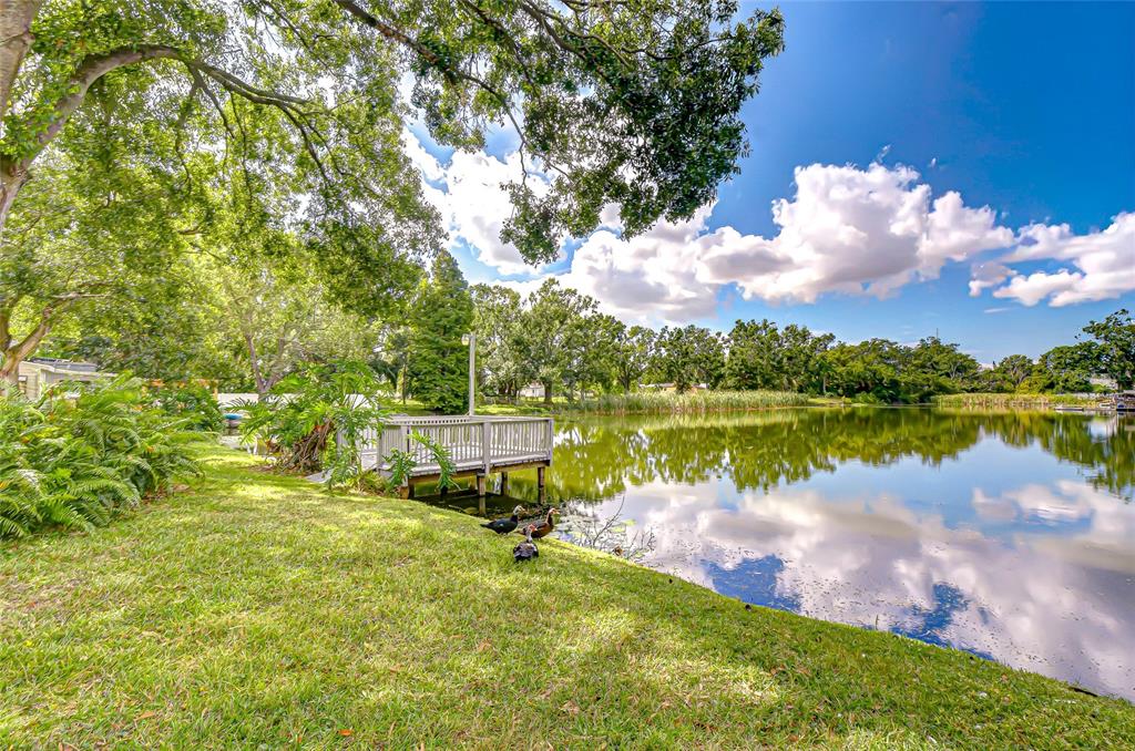 8120 North Albany Avenue Tampa, FL 33604 - Photo 53 of 63