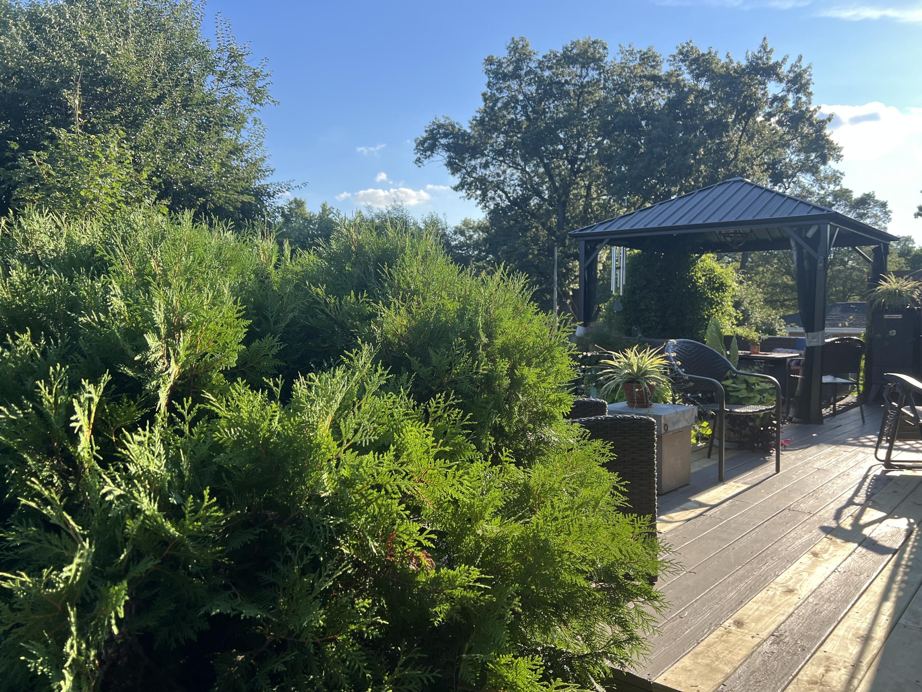 121 7th Avenue Northwest De Motte, IN 46310 - Photo 33 of 33 3000x2250