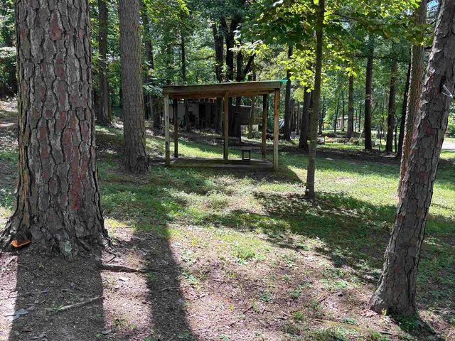a view of a trees in a yard