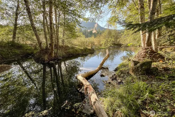 $219,000 | 104 Rainbow Place, Packwood, WA 98361