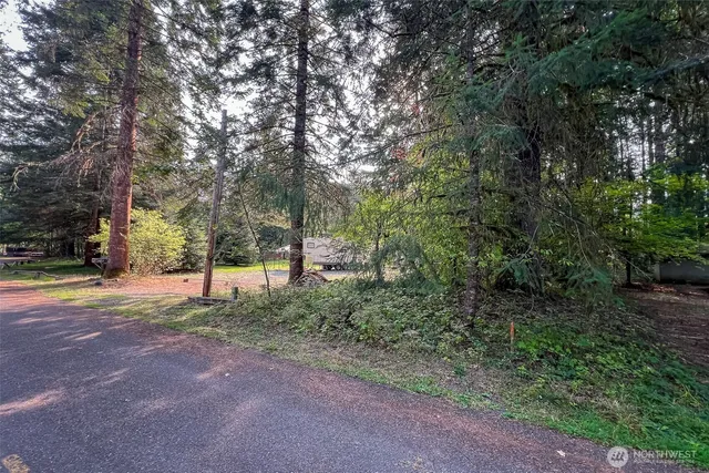 a view of a park with large trees