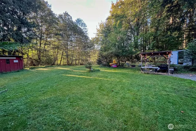 a view of a park with large trees
