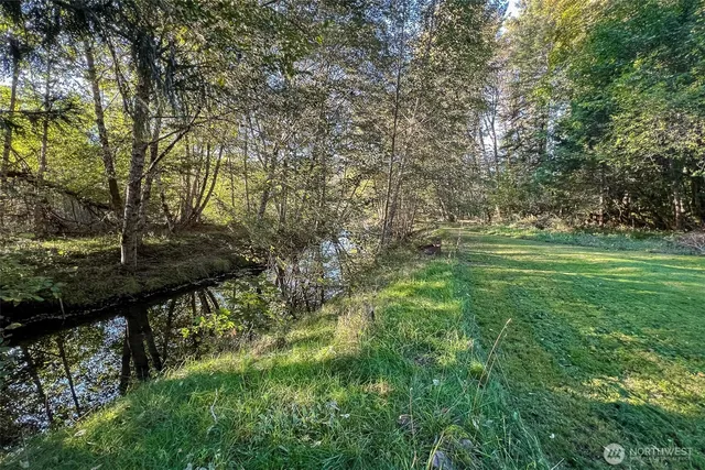 a view of a lush green space