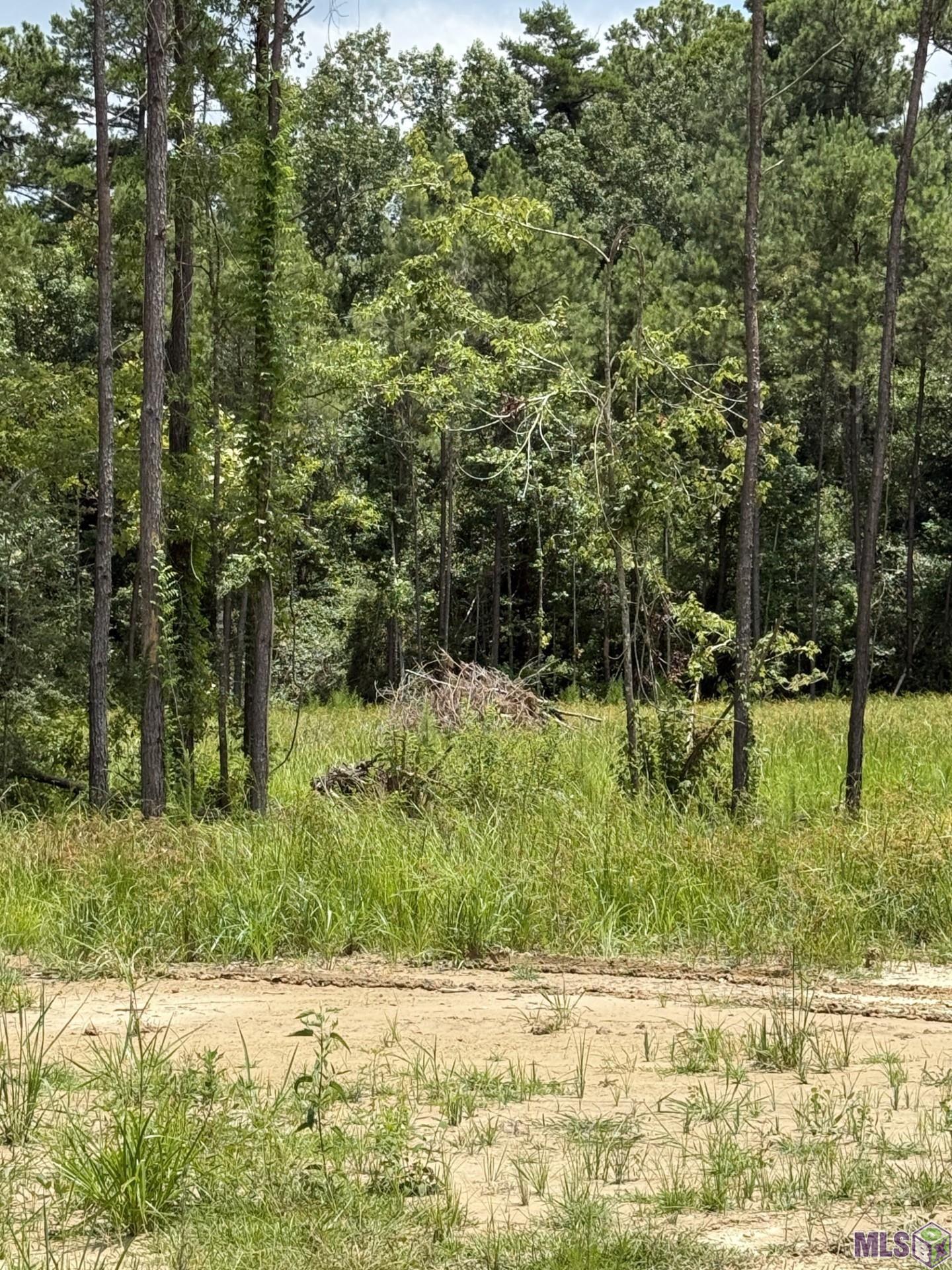 17249 Jack Allen Road Livingston, LA 70754 - Photo 6 of 6