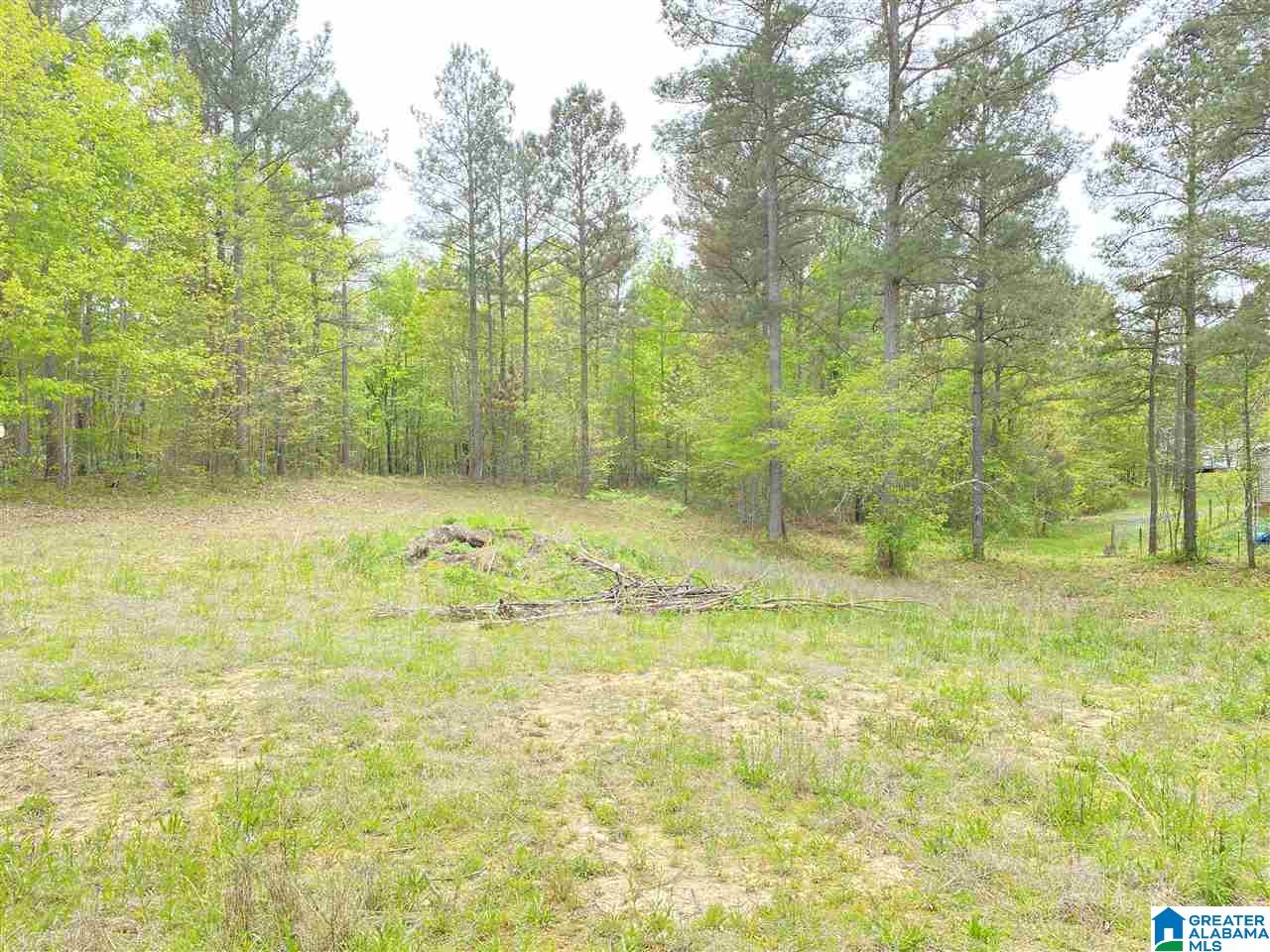 205 Clearview, Unit 12 Odenville, AL 35120 - Photo 1 of 3