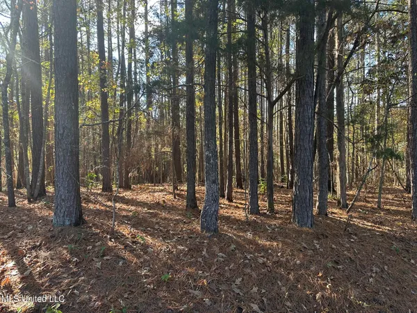 $29,875 | Bones Road, Florence, MS 39073