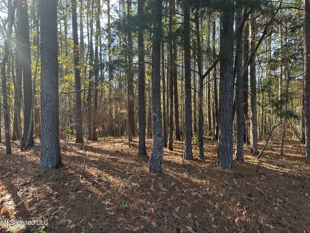 $29,875 | Bones Road, Florence, MS 39073