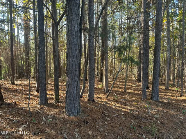 $29,875 | Bones Road, Florence, MS 39073