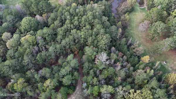 $29,875 | Bones Road, Florence, MS 39073