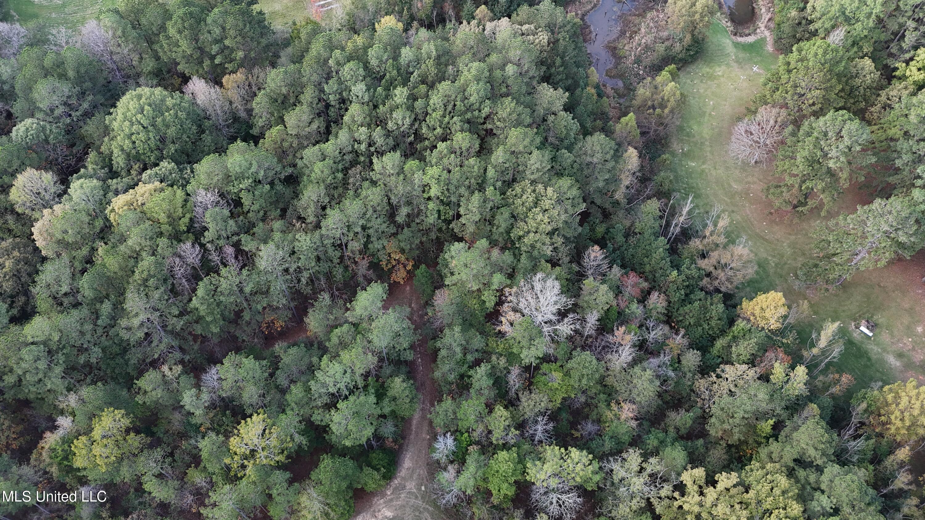 Bones Road Florence, MS 39073 - Photo 5 of 7 DJI_20241117145919_0171_D