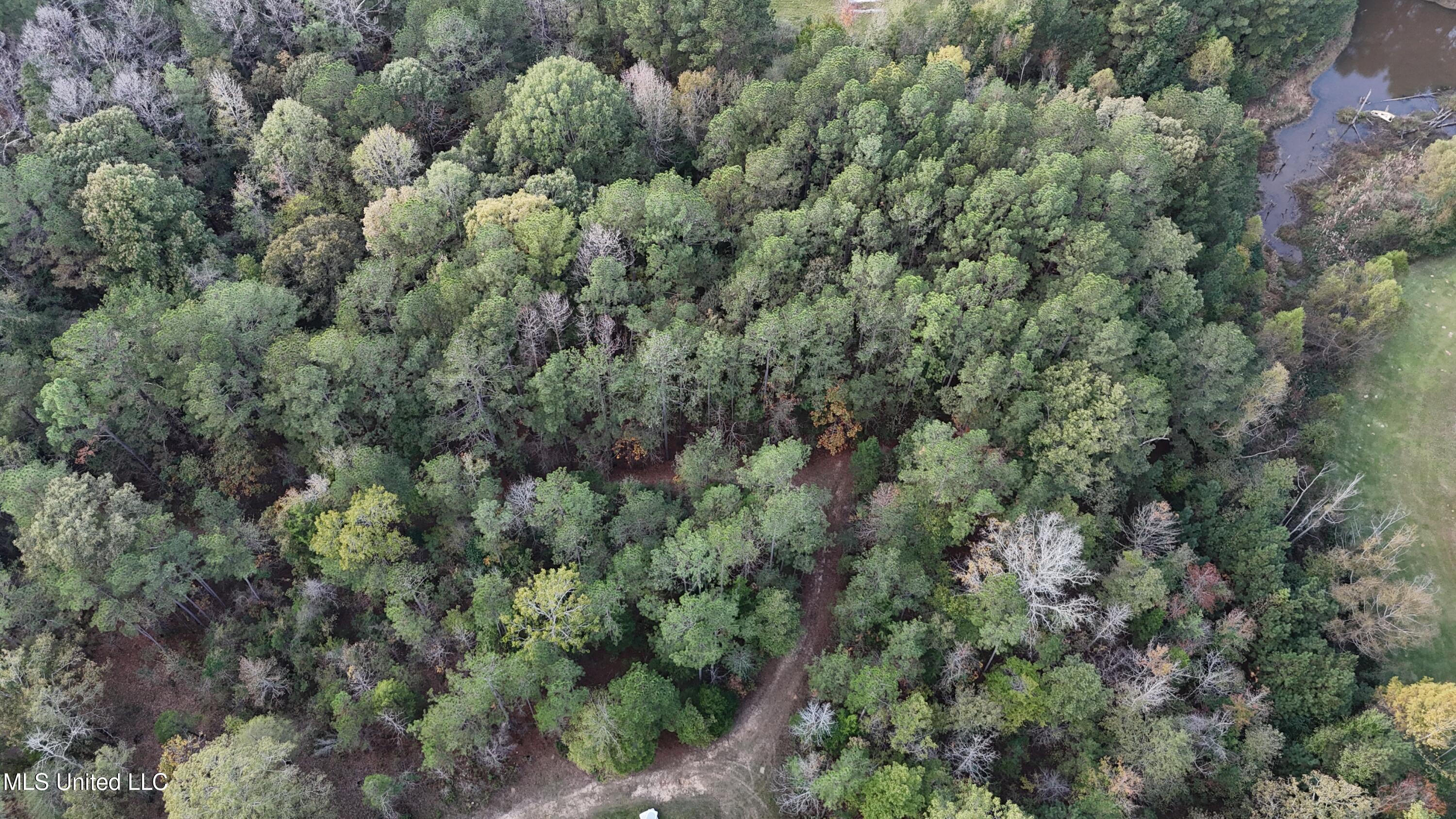 Bones Road Florence, MS 39073 - Photo 6 of 7 DJI_20241117145923_0172_D