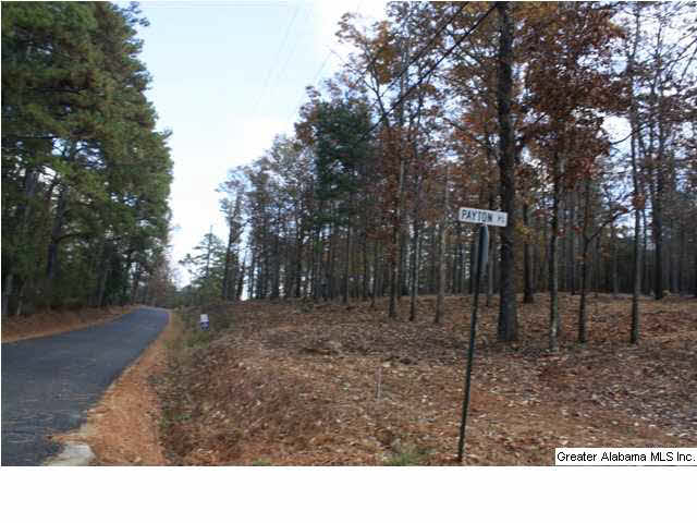 Peyton Place, Unit 3 Weaver, AL 36277 - Photo 16 of 40