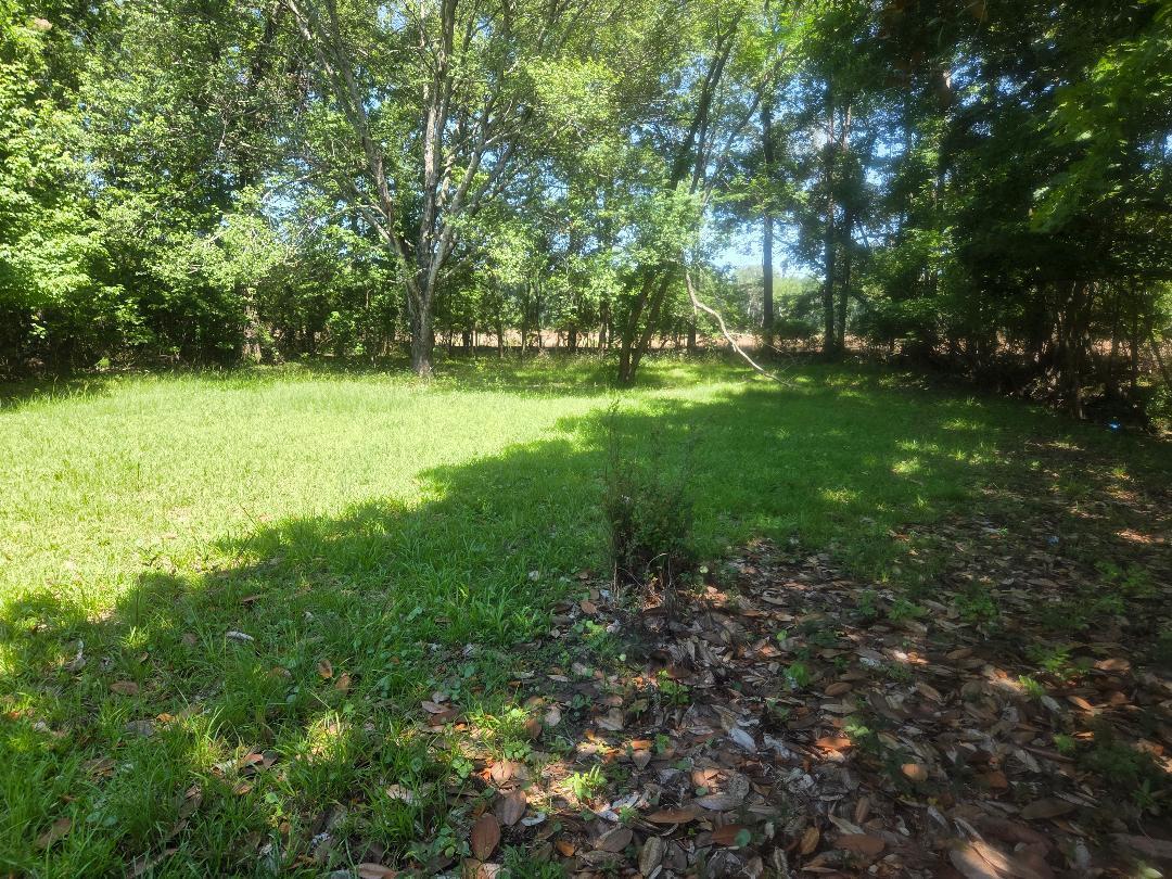 6385 Highway 162 Hollywood, SC 29449 - Photo 12 of 12 6385 Sc-162, Hollywood, SC