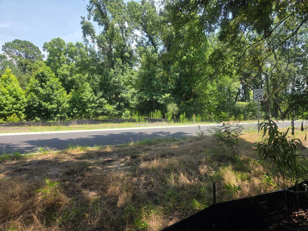 6385 Highway 162 Hollywood, SC 29449 - Photo 2 of 12 Next to new develpment