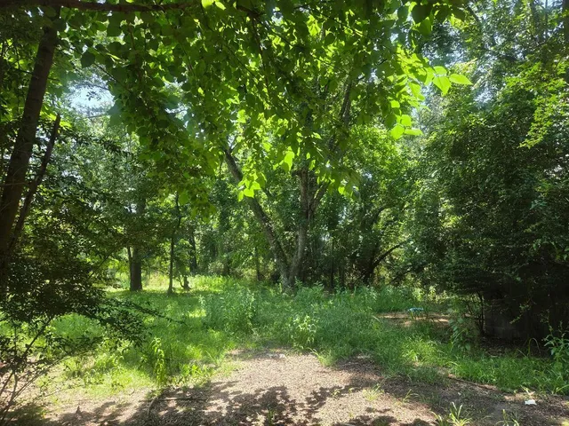 $299,900 | 6385 Highway 162, Hollywood, SC 29449