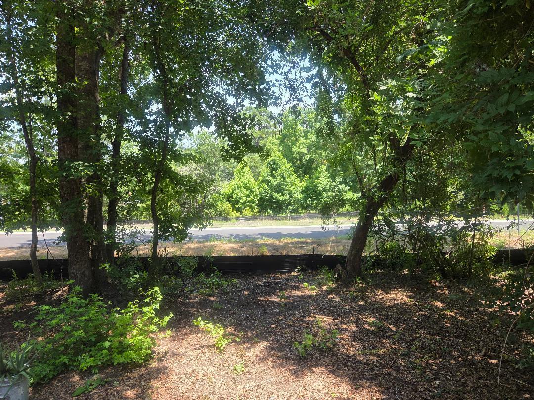 6385 Highway 162 Hollywood, SC 29449 - Photo 7 of 12 NO flood zone