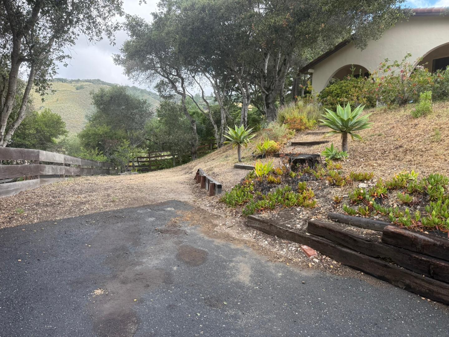 11585 McCarthy Road Carmel Valley, CA 93924 - Photo 11 of 52 a view of a yard with potted plants