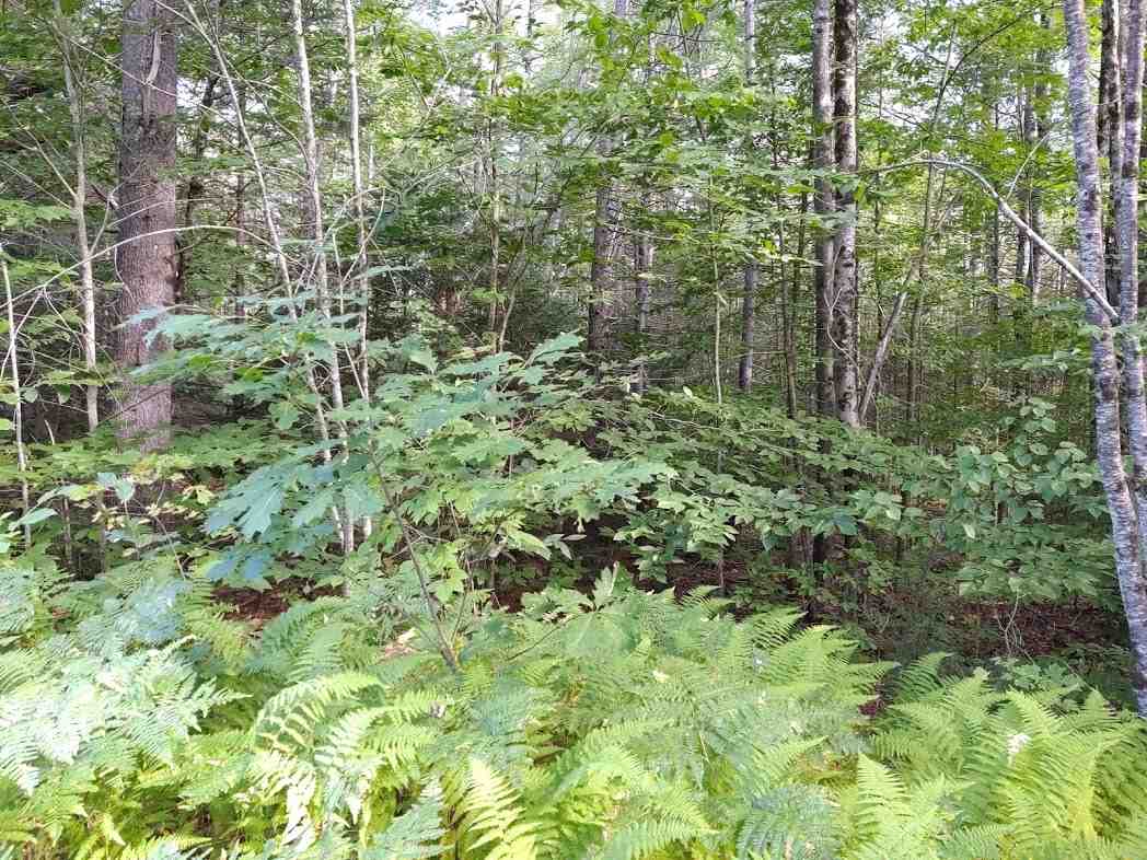 45 Pine Ridge Road Middleton, NH 03887 - Photo 3 of 17