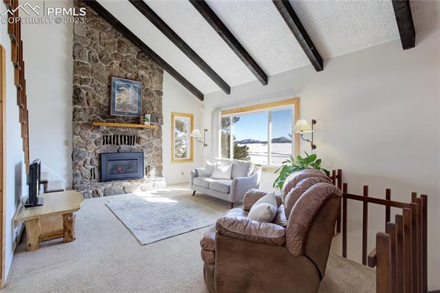 4 Columbine Road Larkspur, CO 80118 - Photo 6 of 39 Gallery Image 6