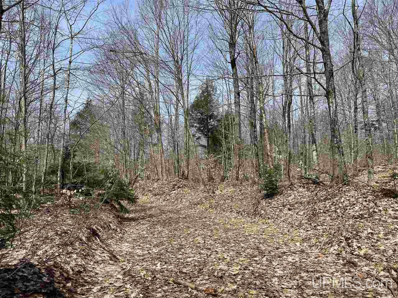 0 Old Seney Road Seney, MI 49883 - Photo 23 of 31