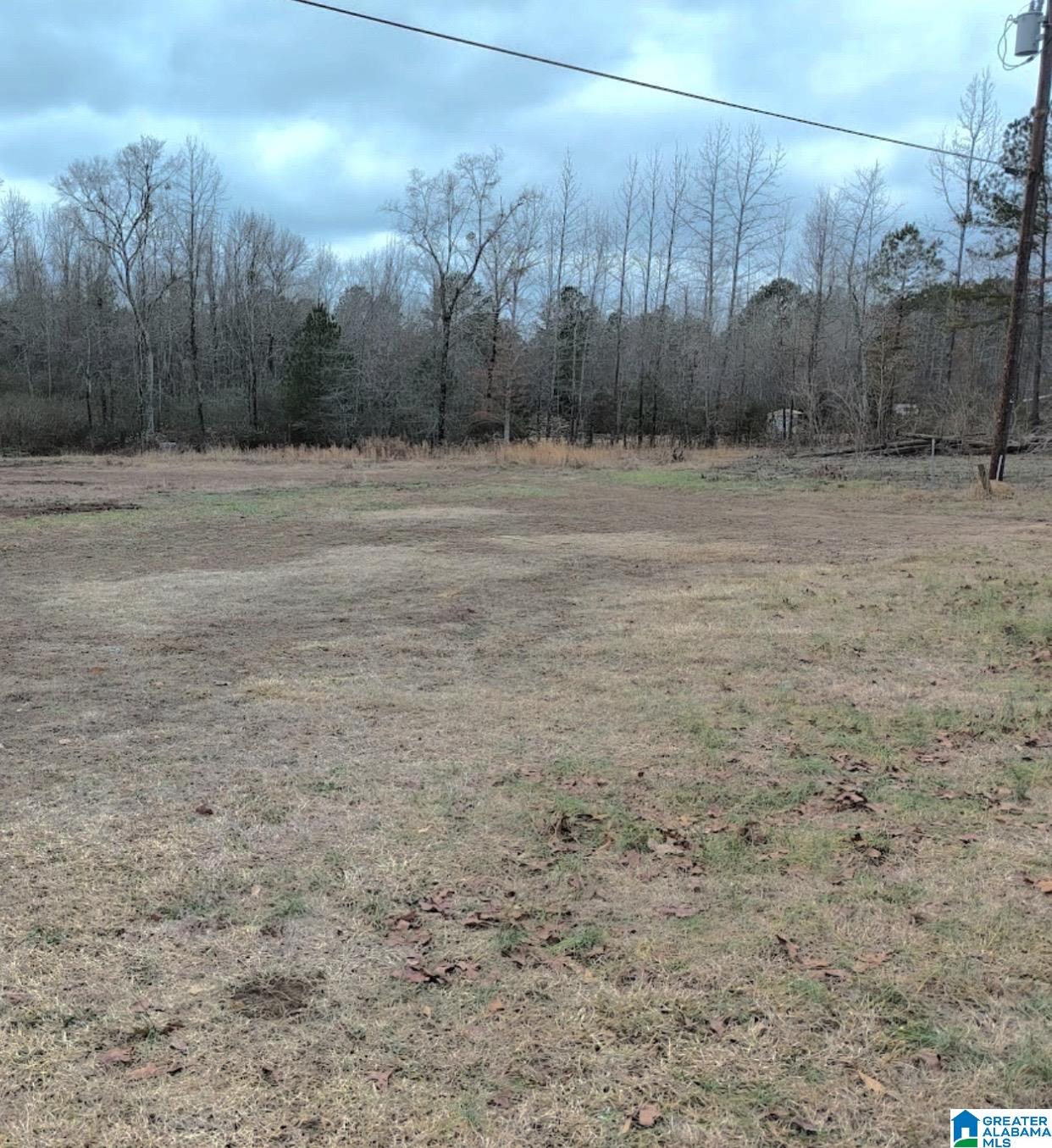 6035 Redmill Saragossa Road Nauvoo, AL 35578 - Photo 6 of 6