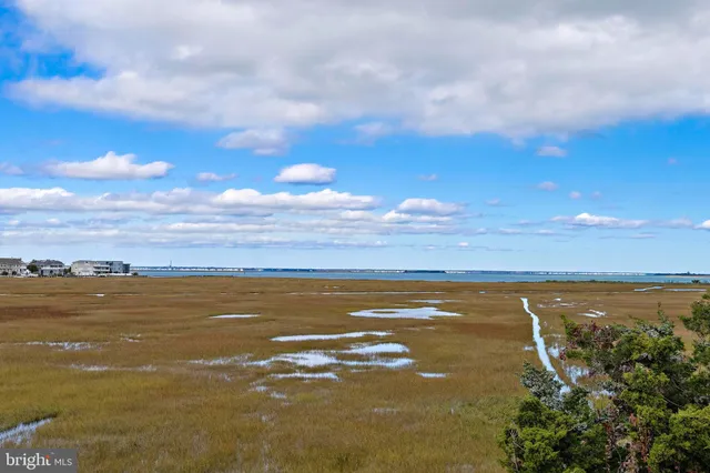 a view of an ocean and beach