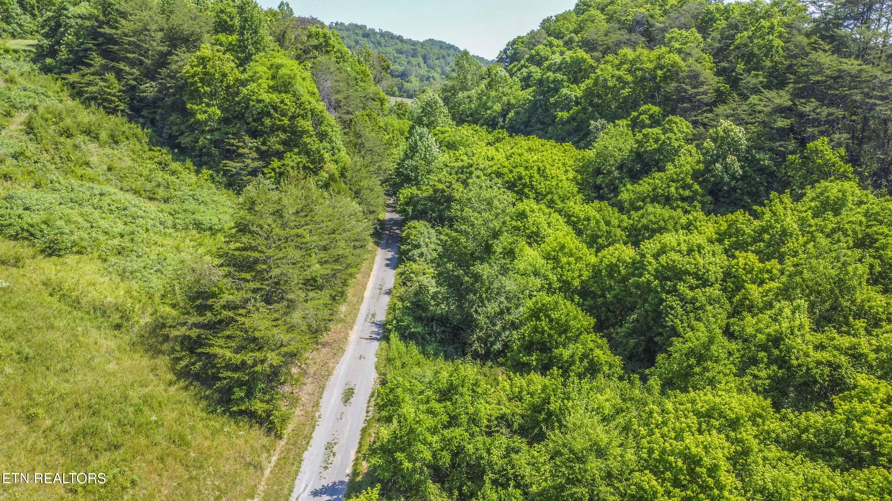 Ousley Gap Road, Unit TRACT 1 Maynardville, TN 37807 - Photo 13 of 13 drone 17_1