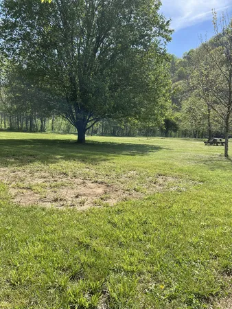 $19,900 | 6002 Wet Mill Creek Road, Celina, TN 38551