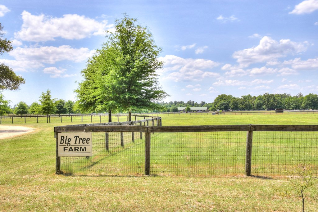 490 Big Tree Road Salley, SC 29137 - Photo 2 of 68