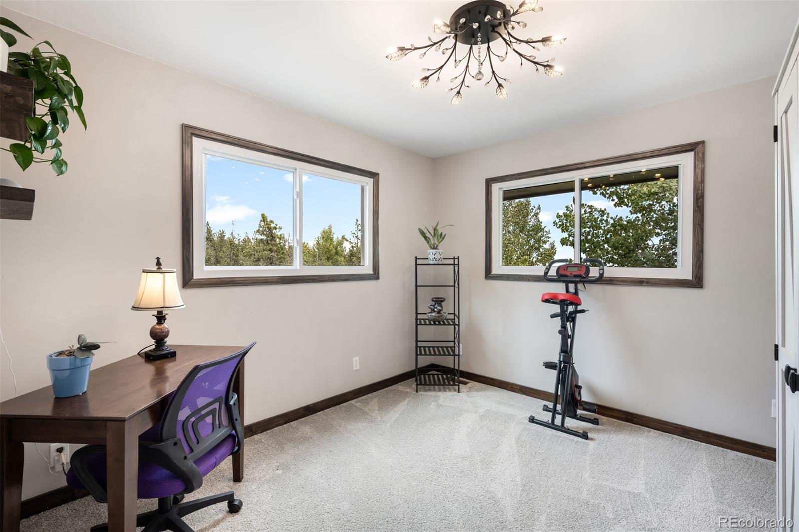 8511 South Warhawk Road Conifer, CO 80433 - Photo 16 of 36 Gallery Image 16