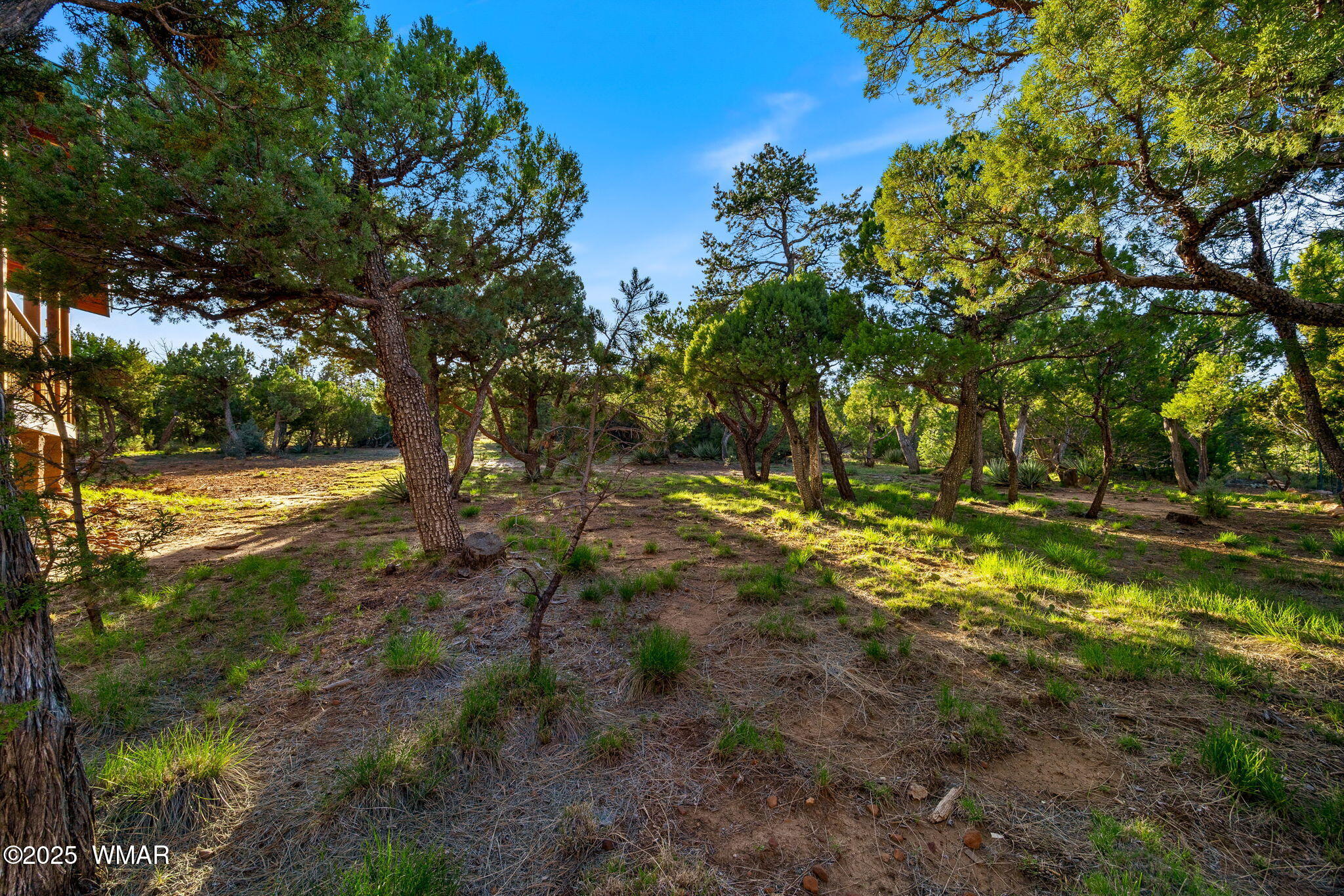 1532 Riata Road Heber, AZ 85928 - Photo 38 of 52 1532GeorgannCir-HeberOvergaard-AZ-38