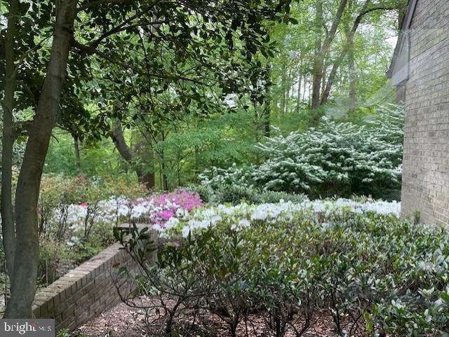 700 Belgrove Road McLean, VA 22101 - Photo 78 of 86 View from Library
