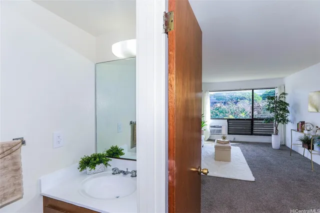 an entryway with wooden floor and a potted plant