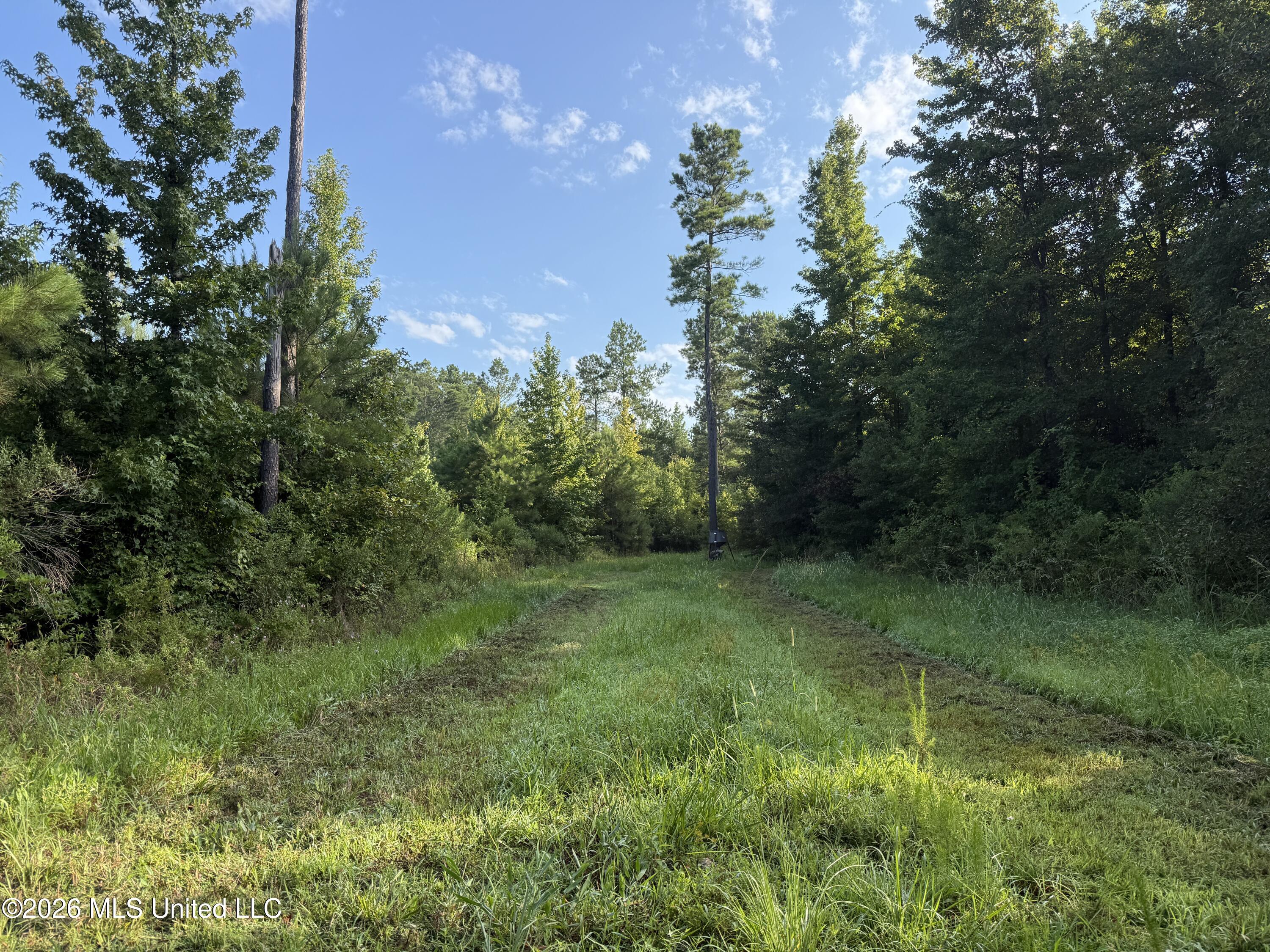 4102 Co Road Sallis, MS 39160 - Photo 2 of 35 2 (1)