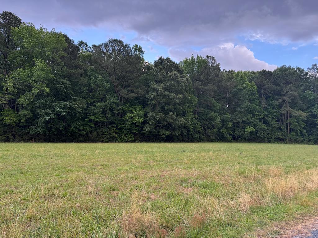 Lot 31 Miles Road, Unit 31 New Church, VA 23415 - Photo 1 of 24