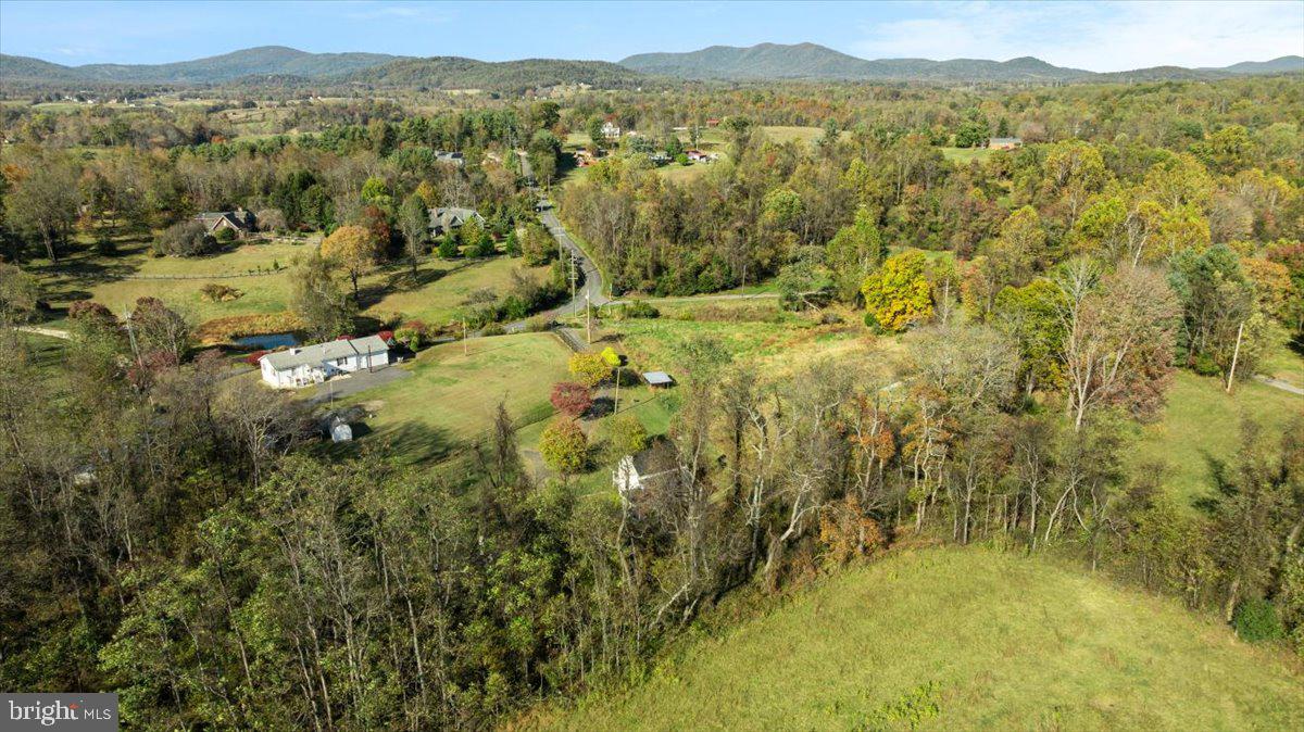 13886 Crest Hill Road Flint Hill, VA 22627 - Photo 40 of 45 a view of a forest with trees in the background