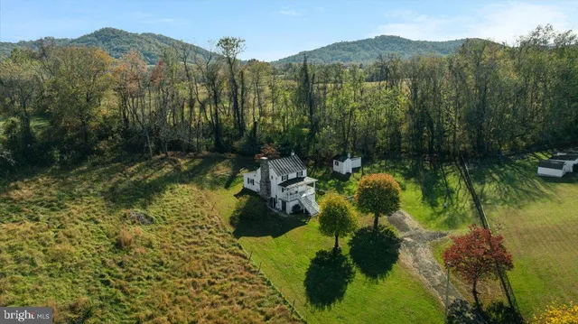 a view of a garden with mountain