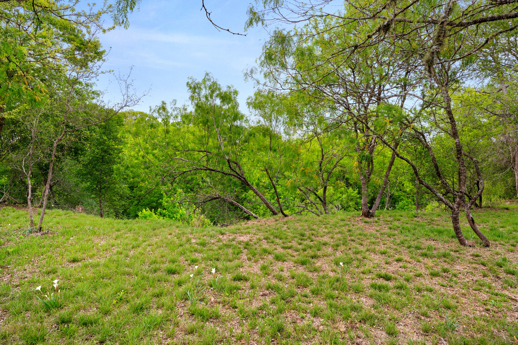 372 Raptor Beak Way Cedar Creek, TX 78612 - Photo 31 of 36